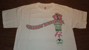 【CAMP ZAMA】US ARMY 米陸軍キャンプ座間桜祭りマラソン大会参加記念 ＴシャツサイズＳ CHERRY BLOSSOM FESTIVAL US ARMY MWR