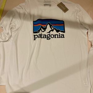 パタゴニア　キャプリーンクールデイリーグラフィックシャツS