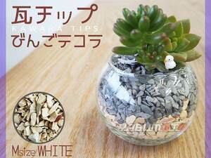  gram chip bin .tekolaM size white 600g decorative plant planter cover material lovely recycle 