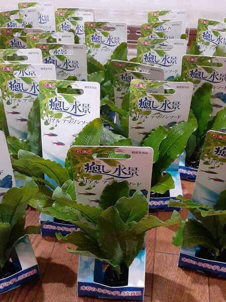 【リサイクルマニア】《送料無料》 観賞魚用アクセサリー 人口水草 ☆新品未使用品11個セット