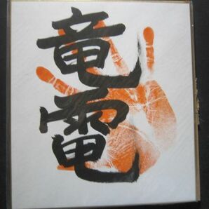 大相撲 竜電 小結 手形 サインの画像1