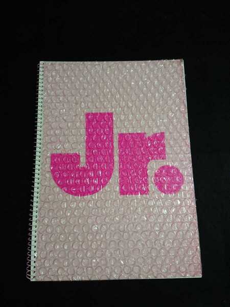 送料込◆即決◆ジャニーズJr.スプリングコンサート1999 パンフレット/ジャニーズジュニア/嵐・関ジャニ∞・タッキー&翼 他