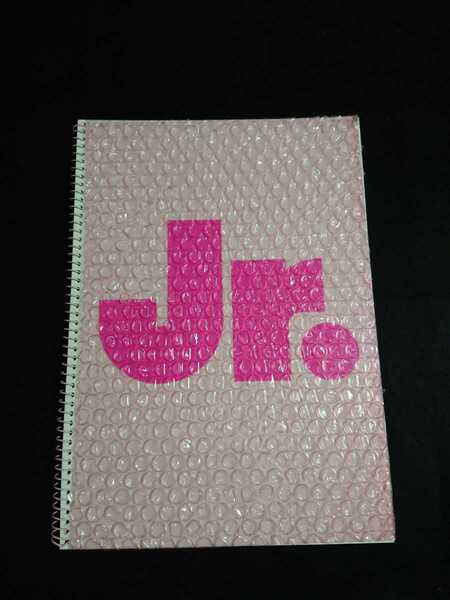 送料込◆即決◆ジャニーズJr.スプリングコンサート1999 パンフレット／ジャニーズジュニア／嵐・関ジャニ∞・タッキー＆翼 他