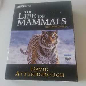 BBC DVD / THE LIFE OF MAMMALS DAVID ATTENBOROUGH / インポートDVD