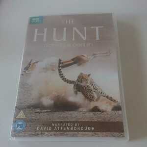 BBC EARTH / THE HUNT nothing is certain / インポートDVD
