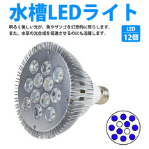 LED 電球 スポットライト 24W(2W×12)青10白2灯 水槽 照明 E26 LEDスポットライト 電気 水草 サンゴ 熱帯魚 観賞魚 植物育成_画像2