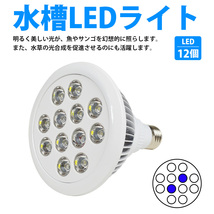 LED 電球 スポットライト 24W(2W×12)白10青2 水槽 照明 E26 LEDスポットライト 電気 水草 サンゴ 熱帯魚 観賞魚 植物育成_画像2