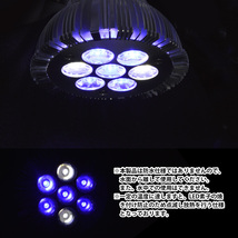 LED 電球 スポットライト青5白2灯　照射角45度 水槽 照明 E26 水槽用 LEDスポットライト 電気 水草 サンゴ 熱帯魚 観賞魚 植物育成_画像4