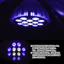 LED 電球 スポットライト 24W(2W×12)青8白4灯 水槽 照明 E26 LEDスポットライト 電気 水草 サンゴ 熱帯魚 観賞魚 植物育成_画像4