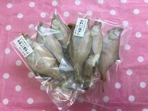 大人気！当店看板商品 エテカレイ 16尾！やさしい味付けが、人気です^_^_画像4