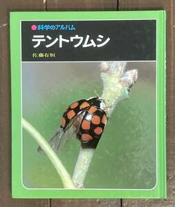 【即決】科学のアルバムテントウムシ /佐藤有恒（著） /あかね書房/てんとう虫