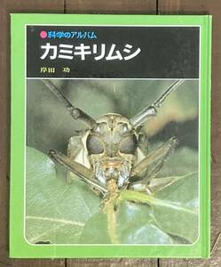 【即決】科学のアルバム カミキリムシ/岸田功/あかね書房/虫