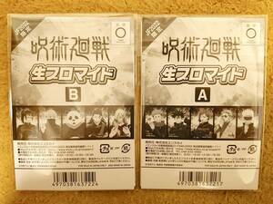 呪術廻戦 JF2022限定 受注生産 生ブロマイドA・B ジャンプフェスタ2022限定 虎杖悠仁 伏黒恵 野薔薇 七海 五条悟 夏油 真希 棘 パンダ 真人