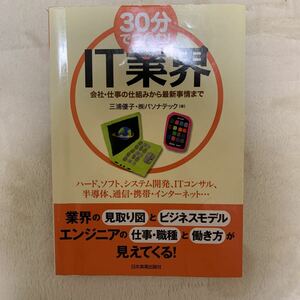 30分でつかむ!IT業界 : 会社・仕事の仕組みから最新事情まで