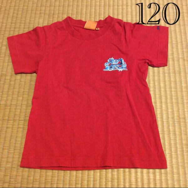 120 ピコ Tシャツ