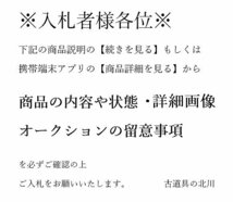 ▲60SK1121▲河上恭一郎造 ガラス製吹墨双鯉文隋円皿　菓子器　菓子皿　硝子 気泡_画像2