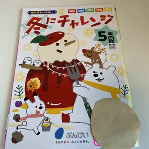 Y25.516 冬にチャレンジ 5教科 ドリル 計算 小学5年 上 受験 テスト プリント 予習 復習 国語 算数 理科 社会 英語 家庭科 教材 家庭学習