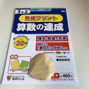 Y25.797 算数の達成 形成プリント ドリル 計算 小3年 上 受験 テスト プリント 予習 復習 国語 算数 理科 社会 英語 家庭科 教材 家庭学習