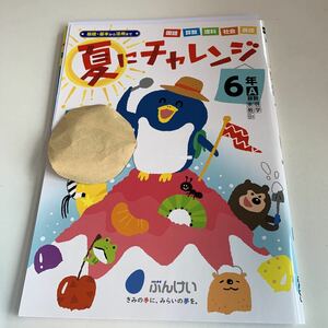 Y26.073 夏にチャレンジ 5教科 ドリル 計算 小6年 上 受験 テスト プリント 予習 復習 国語 算数 理科 社会 英語 家庭科 教材 家庭学習