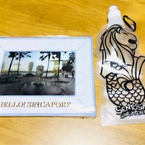 シンガポールのお土産