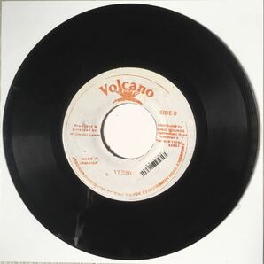 (Shank I Sheck Riddim) 45rpm 7インチ / Tenor Saw - Rub A Dub / Volcano / Reggae Dancehall Foundation Roots Ska /の画像2