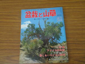 盆栽と山草　創刊号　　【特集】アメリカの盆栽/春を呼ぶ山野草 /植