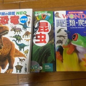 図鑑　3冊セット　恐竜　昆虫　両生類　NEO WONDA 学研 小学館