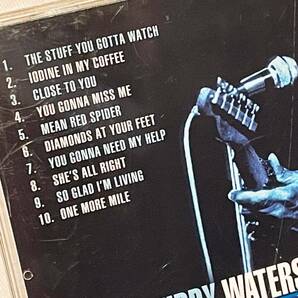 MUDDY WATERS マディ・ウォーターズ CD「MUDDY'S BLUES」US盤 アメリカ シカゴ ブルース ロック R&B 中古 ハウリン・ウルフ バディ・ガイの画像5