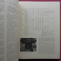 y1【ネパールの王宮建築-ネパール王国古王宮調査報告書/昭和56年・日本工業大学 】王宮建築の構造/パタン王宮 @5_画像9