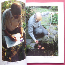 w16図録【写真と名画で語る「上村松篁・魂の賛歌」写真家・飯島幸永の眼/1992年・天神博多大丸ほか】_画像7