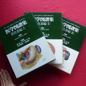 大型d【医学図譜集-消化器編1～3/昭和53年・日本チバガイギー】人体イラスト/解剖図 @5