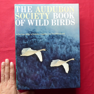  большой b/ иностранная книга [o-te.bon ассоциация. дикая птица. книга@/Audubon Society Book of Wild Birds] @5