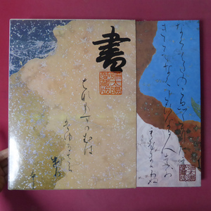 大型o/別冊太陽愛蔵版【書/1979年・平凡社】かな/漢字/連綿体はうたう/善美を尽くした装飾経/信仰のあかし @5