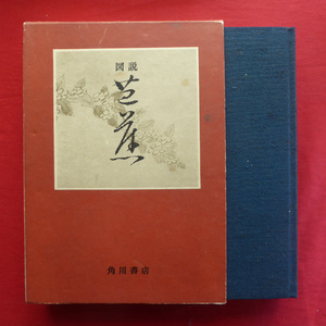 e9/岡田利兵衞編【図説 芭蕉/角川書店・昭和47年】落款/図版解説/揮毫を中心した芭蕉略年譜 @3