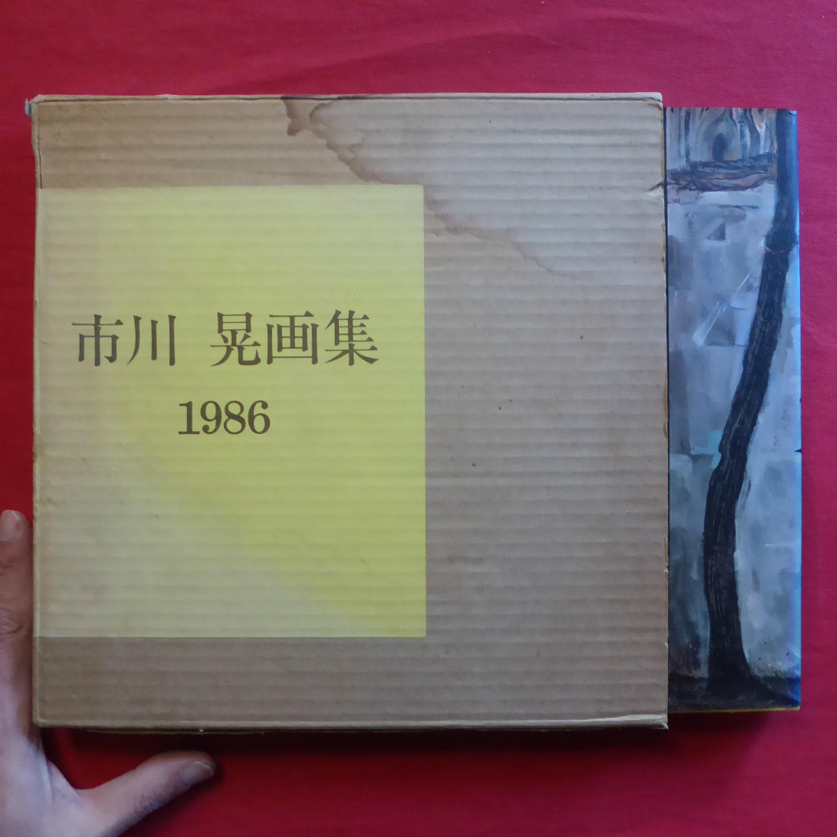 d14【市川晃画集 1986/市川晃先生退官記念画集刊行会】三浦小春:市川晃氏の絵画 自然主義 と 花狂いの象徴派 @3, 絵画, 画集, 作品集, 画集