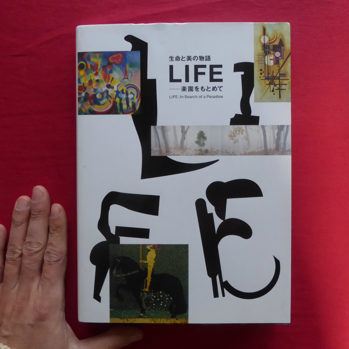 Catálogo w21 [Vida y Belleza: Una Historia de Vida - En Busca del Paraíso/2017, Museo de Arte de la Prefectura de Toyama] Inocente, Niño, Juventud/Amor, Eros, Amistad/Sueño, Espejismo, Locura, Malvado @ 2, Cuadro, Libro de arte, Recopilación, Catalogar