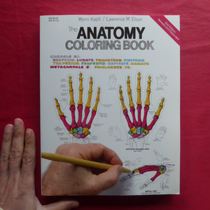 w14/洋書【人体解剖塗り絵：The Anatomy Coloring Book/1993年】 @2