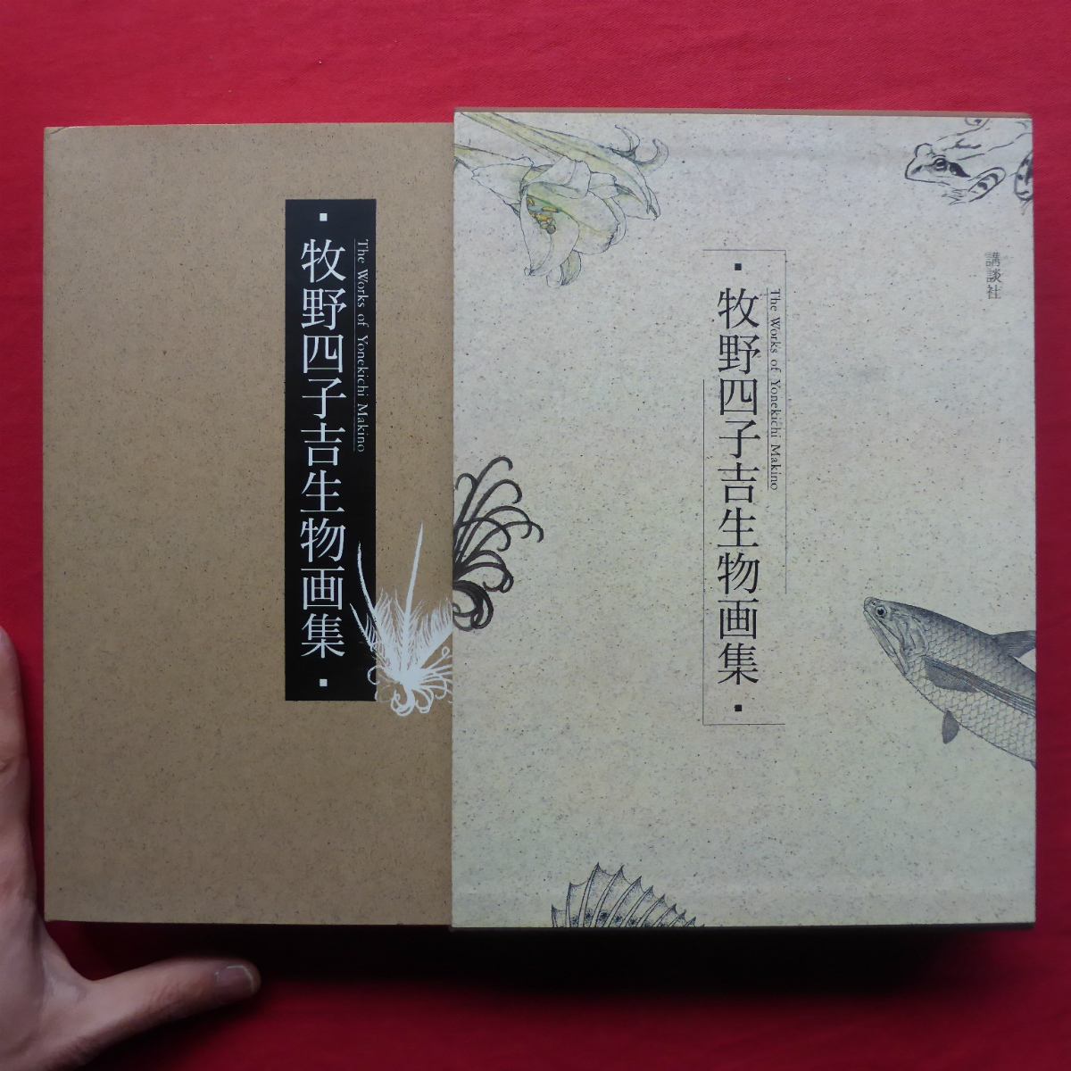 θ22 [Colección de arte biológico Makino Shichikichi/1986, Kodansha] Miyaji Denzaburo: Arte biológico de Makino Shichikichi/Feto de ballena/Invertebrados/Peces/Plantas/Aves @2, Cuadro, Libro de arte, Recopilación, Libro de arte