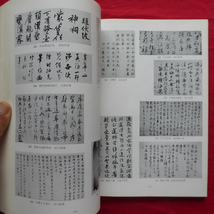 d8図録【東洋館開館記念 東洋美術展/東京国立博物館・昭和43年】東洋美術の展開_画像9