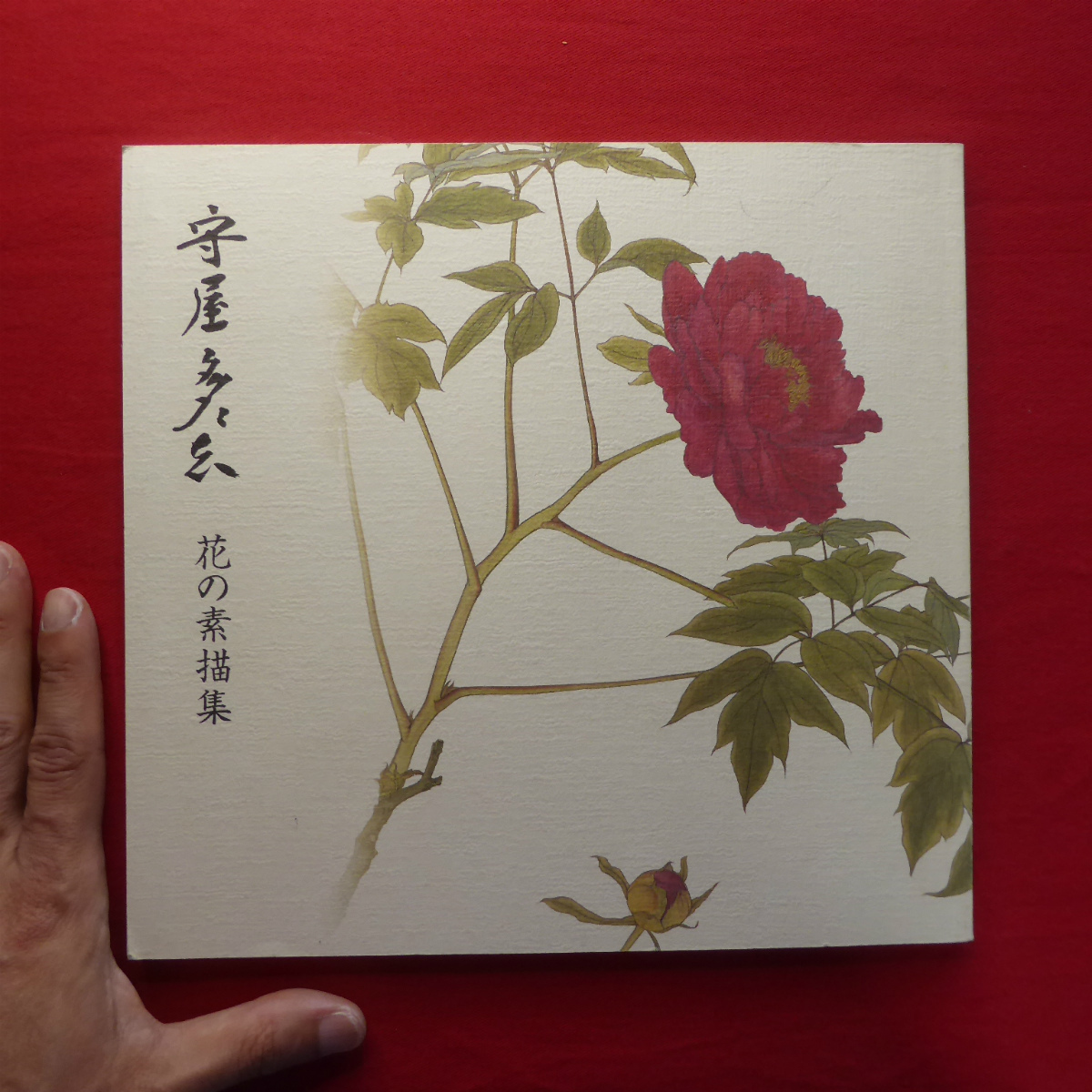 Catálogo b13 [Tatashi Moriya - Colección de dibujos de flores / Museo de Arte Tatashi Moriya, ciudad de ogaki, 2005], Cuadro, Libro de arte, Recopilación, Catalogar