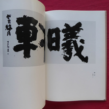 r2図録【_寿記念 浅田蓬村作品集/昭和58年・蓬門会】書道/上田桑鳩に師事_画像6