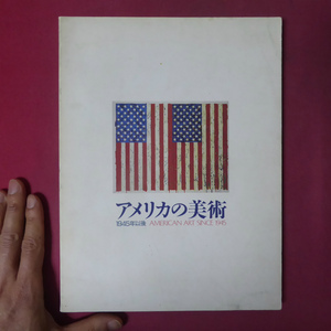 J1図録【アメリカの美術-1945年以後/1988年】杉村浩哉:アメリカ美術年代記/抽象表現主義/ネオ・ダダ/ミニマリズム以後の展開