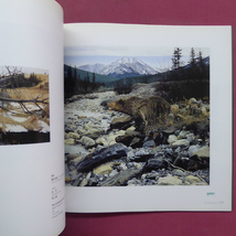 L2図録【ワイルドライフ・アート展-カナダの大自然からのメッセージ-/野生動物を描く5人の画家たち】_画像9