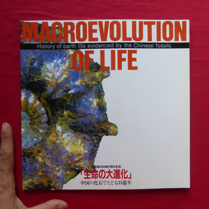 e9 llustrated book [ life. large evolution - China. fossil ....35 hundred million year /1992 year * Nagoya city science pavilion another ] sea from land ./ dinosaur kingdom / mammalian. ..