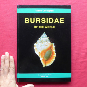 a17洋書【世界のオキニシ科貝：Bursidae of the World】