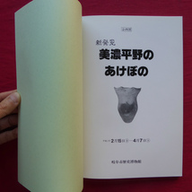 z11図録【新発見 美濃平野のあけぼの/平成3年・岐阜市歴史博物館】遺跡/古墳/岐阜県内発掘調査一覧_画像3