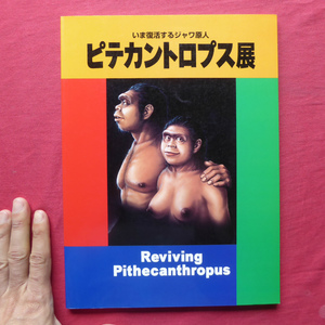 d4図録【いま復活するジャワ原人 ピテカントロプス展-日本人の源流をさぐる/1996年・国立科学博物館】日本での人類進化