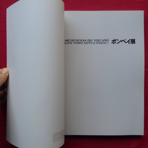 i5図録【世界遺産「ポンペイ最後の日」特別展/2000年・スカイビル博物館】青柳正規:ポンペイ-その歴史と文化_画像3