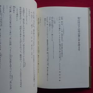 s3/吉増剛造【「雪の島」あるいは「エミリーの幽霊」/集英社・1998年】の画像9