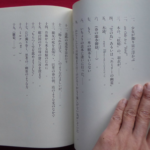 s3/吉増剛造【「雪の島」あるいは「エミリーの幽霊」/集英社・1998年】の画像5